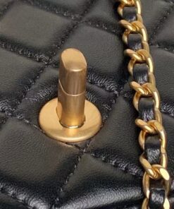 chanel 25b — mini flap bag double c link chanel 25b — mini flap bag double c link